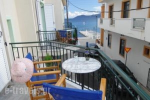 Alexis Studios and Apartments_best deals_Apartment_Ionian Islands_Kefalonia_Aghia Efimia