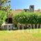 Villa Stella_travel_packages_in_Crete_Chania_Tavronitis