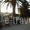 Zante Nest Studios & Apartments_travel_packages_in_Ionian Islands_Zakinthos_Alikanas