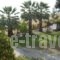 Pension Karvounoskala_travel_packages_in_Macedonia_Halkidiki_Chalkidiki Area