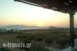 Studios Michel_s __1