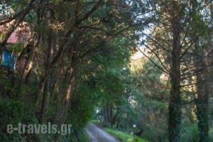 Wildrose Corfu Apartments_best prices_in_Apartment_Ionian Islands_Corfu_Corfu Rest Areas
