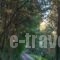 Wildrose Corfu Apartments_best prices_in_Apartment_Ionian Islands_Corfu_Corfu Rest Areas