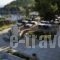 Alonissosach Bungalows And Suites Hotel_lowest prices_in_Hotel_Sporades Islands_Skopelos_Skopelos Chora