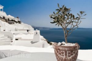 Alexander's Boutique Hotel_holidays_in_Hotel_Cyclades Islands_Sandorini_Oia