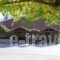 Guesthouse Kastania_best prices_in_Hotel_Peloponesse_Arcadia_Levidi