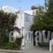 Marathi Apartments_accommodation_in_Apartment_Cyclades Islands_Paros_Paros Chora