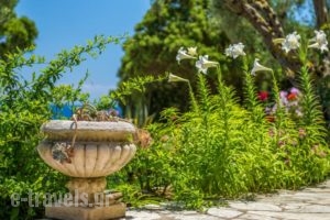 La Dolce Villa_lowest prices_in_Villa_Ionian Islands_Zakinthos_Laganas