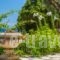La Dolce Villa_lowest prices_in_Villa_Ionian Islands_Zakinthos_Laganas