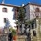 Archontiko Panagoula_accommodation_in_Hotel_Thessaly_Magnesia_Portaria