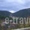 Guesthouse Kastania_holidays_in_Hotel_Peloponesse_Arcadia_Levidi