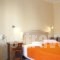Virginia Hotel_holidays_in_Hotel_Aegean Islands_Samos_Pythagorio