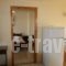 Village Inn Studios & Family Apartments_lowest prices_in_Apartment_Ionian Islands_Zakinthos_Laganas