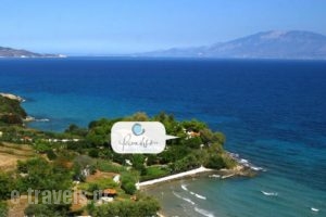 Paradisso Beach Villas_lowest prices_in_Villa_Ionian Islands_Zakinthos_Alykes