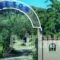 Aneton_best prices_in_Hotel_Aegean Islands_Thasos_Thasos Rest Areas