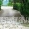 Aneton_lowest prices_in_Hotel_Aegean Islands_Thasos_Thasos Rest Areas