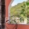 Evergreen Apartments_best deals_Apartment_Ionian Islands_Corfu_Agios Gordios