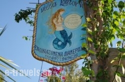 Studios Villa Lontorfou_s __1