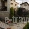 Abelos Stone Houses_best prices_in_Hotel_Peloponesse_Arcadia_Astros