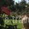 Black Diamond_best deals_Hotel_Dodekanessos Islands_Kos_Kos Chora