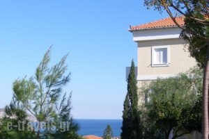 Treehouse Holiday Homes_travel_packages_in_Piraeus Islands - Trizonia_Spetses_Spetses Chora