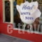 Hotel White Rose Beach_best prices_in_Hotel_Macedonia_Pieria_Olympiaki Akti