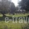 Apsedes Studios_lowest prices_in_Hotel_Ionian Islands_Kefalonia_Kefalonia'st Areas