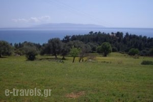 Apsedes Studios_best deals_Hotel_Ionian Islands_Kefalonia_Kefalonia'st Areas