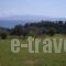 Apsedes Studios_best deals_Hotel_Ionian Islands_Kefalonia_Kefalonia'st Areas