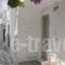 Blue Jasmin_travel_packages_in_Cyclades Islands_Paros_Naousa