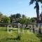 Yannis Apartments_accommodation_in_Apartment_Dodekanessos Islands_Rhodes_Rhodes Areas