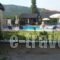 Vamvini Hotel_holidays_in_Hotel_Macedonia_Halkidiki_Sarti