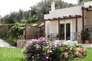 Naiades Villas_accommodation_in_Villa_Central Greece_Evia_Karystos