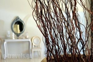 Evia Hotel & Suites_lowest prices_in_Hotel_Central Greece_Evia_Krya Vrysi