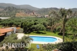 Ibiscus Hotel Malia_s __1