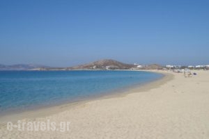 Naxos Island  Hotel_best prices_in_Hotel_Cyclades Islands_Paros_Paros Chora