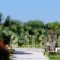 Evripides Village_best deals_Hotel_Dodekanessos Islands_Kos_Kardamena