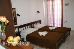 Thania Studios_s __1