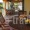Villa Alkmini_holidays_in_Villa_Ionian Islands_Corfu_Afionas