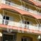 Miami Studios_best deals_Hotel_Central Greece_Evia_Edipsos