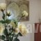 Miami Studios_best prices_in_Hotel_Central Greece_Evia_Edipsos