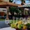 Bella Elena_accommodation_in_Hotel_Crete_Heraklion_Malia