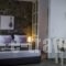 Aelia Studios_holidays_in_Hotel_Cyclades Islands_Amorgos_Aegiali
