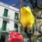 Orfeas Hotel_travel_packages_in_Aegean Islands_Lesvos_Mytilene