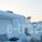 Orpheas Rooms_best deals_Room_Cyclades Islands_Mykonos_Mykonos ora