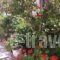 Neapolis Apartments_lowest prices_in_Apartment_Crete_Chania_Palaeochora