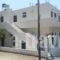 Golden Star_best prices_in_Hotel_Piraeus islands - Trizonia_Aigina_Agia Marina