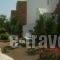Fikas Hotel_best deals_Hotel_Cyclades Islands_Naxos_Naxos Chora