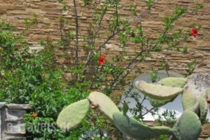 Fikas Hotel_lowest prices_in_Hotel_Cyclades Islands_Naxos_Naxos Chora