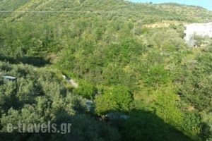 Anemos Studios_best prices_in_Hotel_Central Greece_Evia_Edipsos
